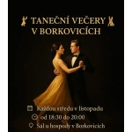 obrázek k článku: Taneční večery v Borkovicích